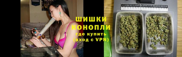 бошки Белокуриха