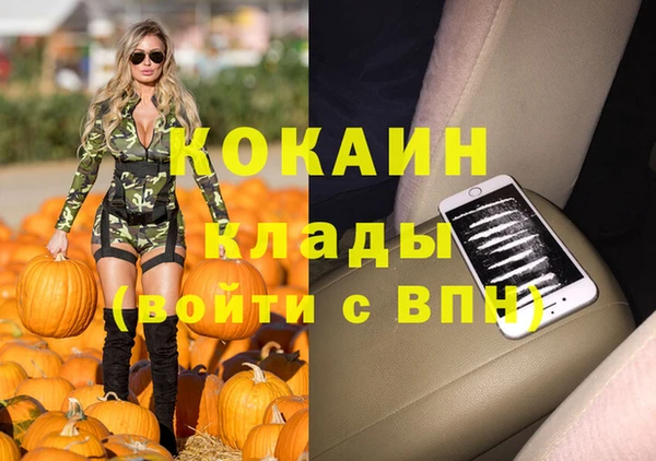 бошки Белокуриха