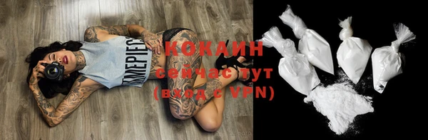 бошки Белокуриха
