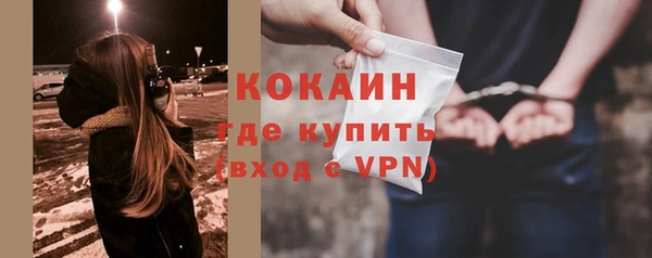 бошки Белокуриха