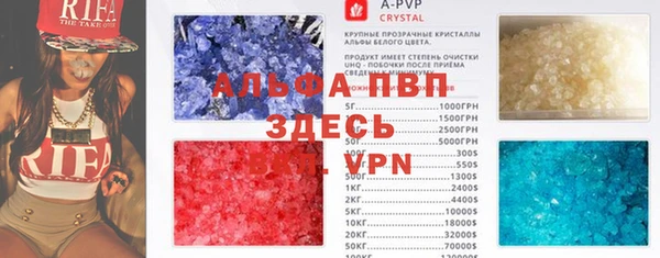 бошки Белокуриха