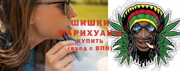 гидра Рославль