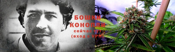 бошки Белокуриха
