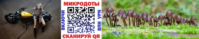 кракен tor  Кушва  Галлюциногенные грибы Psilocybe 
